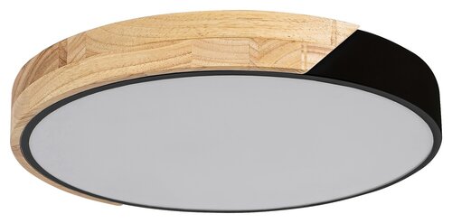 Maple (3528)
