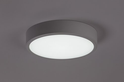 Lauri (71244)