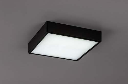 Lauri (71247)