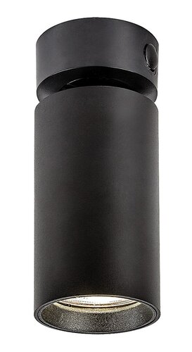 Yorli (73081)